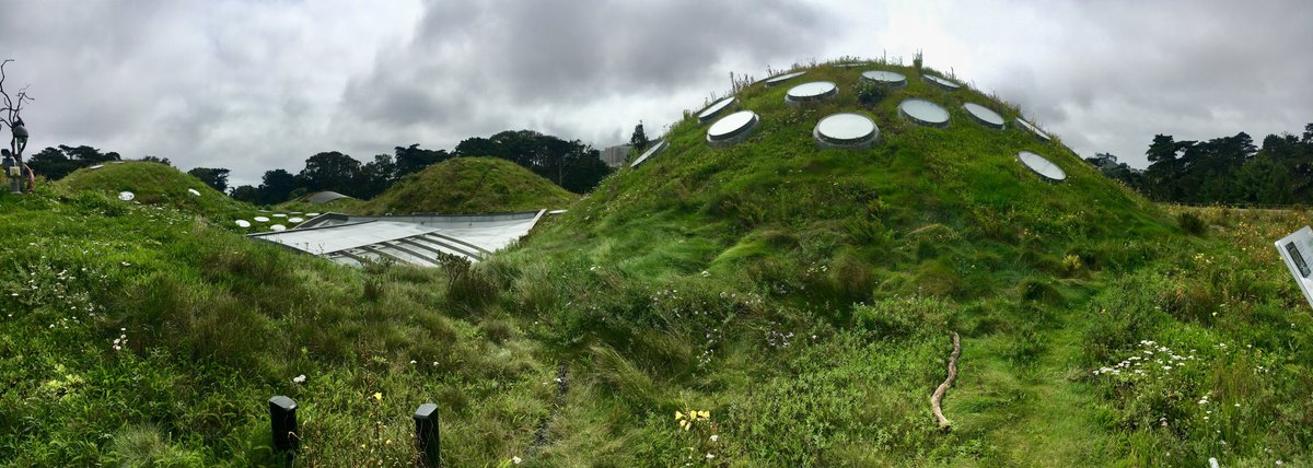 Taryn Foster (@tarynfoster_) on Twitter photo The gorgeous and iconic living roof <a href="/calacademy/">California Academy of Sciences</a> does not disappoint! It has been an awesome first month of the Fulbright Fellowship <a href="/AustAmFulbright/">Fulbright Australia</a> The gorgeous and iconic living roof <a href="/calacademy/">California Academy of Sciences</a> does not disappoint! It has been an awesome first month of the Fulbright Fellowship <a href="/AustAmFulbright/">Fulbright Australia</a>
