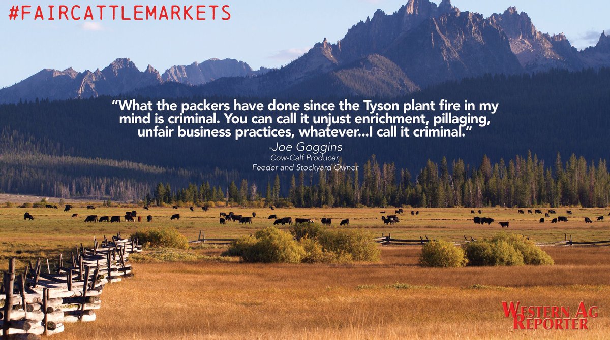 WesternAgReport's tweet photo. @realDonaldTrump We need an attitude adjustment for the cattle market. What the packers are doing to us as cattle producers and independent feeders is more than unfair, it is criminal. #FairCattleMarkets https://t.co/BWtMeoaUuv