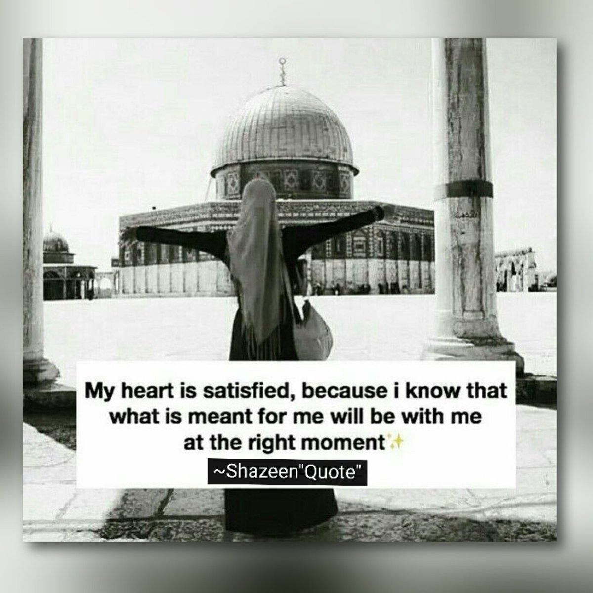 ShazeenMeraj's tweet photo. #NewProfilePic https://t.co/oZ6NHEjGbd