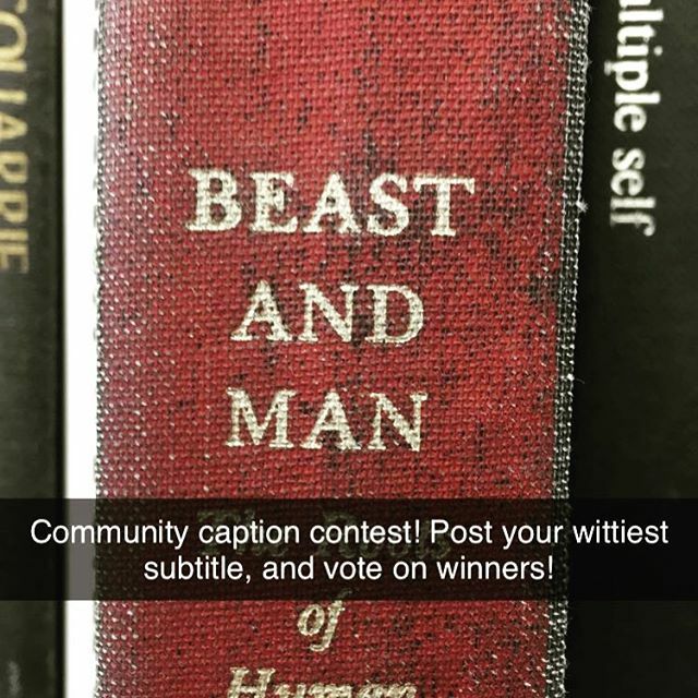 SnideOctopus's tweet photo. Who will claim this week’s caption contest victory? Get subtitlin’, folks. https://t.co/Eyv1V94U5P https://t.co/elGo2mgZxr