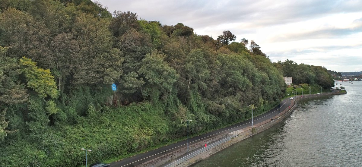 The Painted Dog. 
Located between Monkstown and Glenbrook the painting is in tribute to a local legend. One story is that the ships dog barked as the vessel approached the giant stairs, saving the ship from running aground.  
Another story involves the dog saving a drowning child