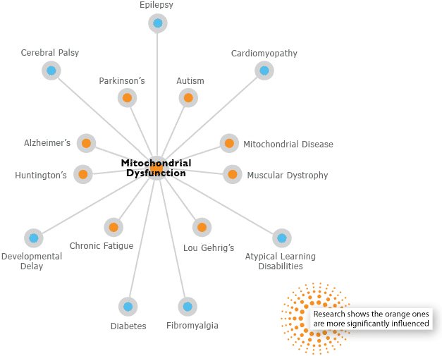 4Vesicles's tweet photo. Mitochondria is thepowerhouse if the cell, NOT!

Dysfunctional mitochondrias lead to diseases such as Alzheimer's, Parkinson's, Autism, Diabetes, Epilepsy and Cerebral Palsy! 😱😥

@bdhs_mspool 
#organle 
#mitochondria_sucks! https://t.co/JD1vFdaNZR