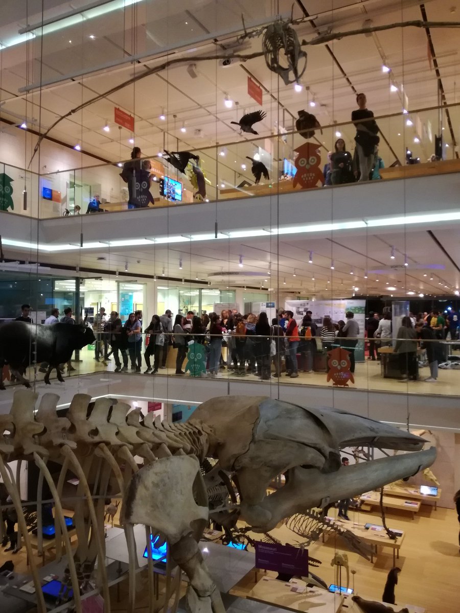 NottedeiRicercatori tweet media