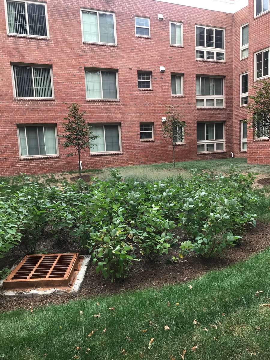 Bradley Site Design, Inc. tweet media