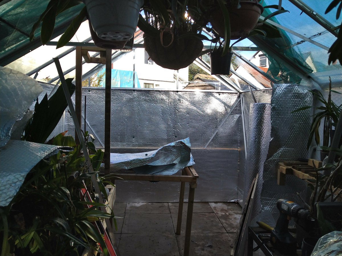 rockerblonde's tweet photo. Well we are glazed, and as a fully one greenhouse. But fingers and palms are sliced and diced. We got abosulte soaked with the rain. #gardening #building #greenhouse #inuslation #movingforward #orchids #orchidgrowing https://t.co/2kFGRfcmbj