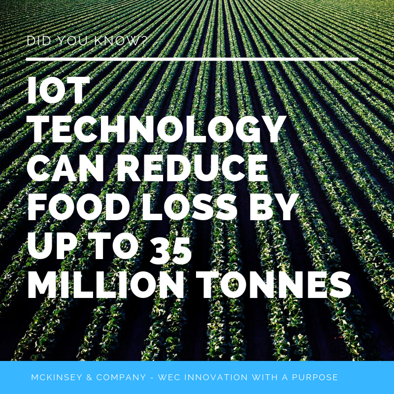 WebeeLife's tweet photo. Did you know? #IOT technology can reduce #Foodwaste by adding transparency and Traceability into the #supplychain https://t.co/ySckxXWiep