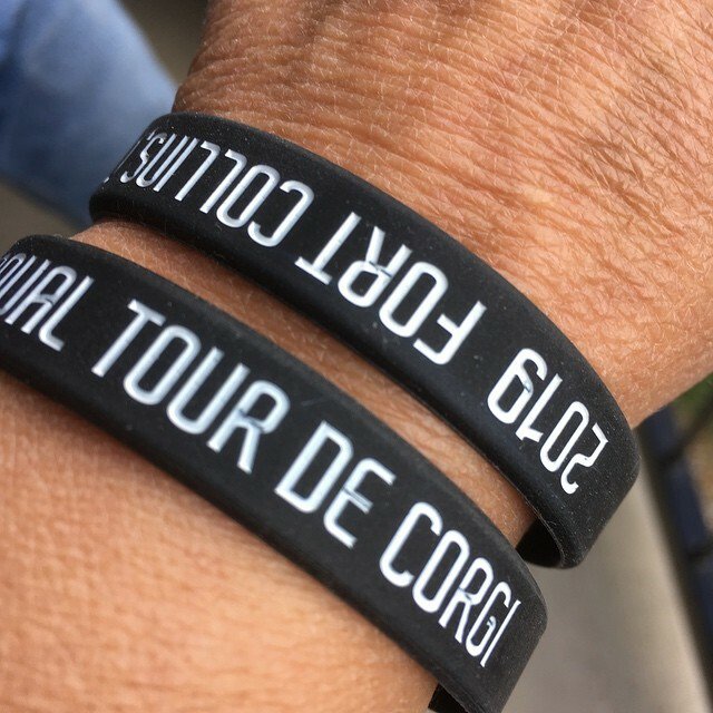 CorgMarshall's tweet photo. #TourdeCorgi here we come!
#corgisofinstagram https://t.co/VKmoleDJNA https://t.co/Pyd4SGMDjh