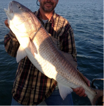 fin_finder's tweet photo. Who knew that you didn’t even have to leave the states to enjoy the running of the bulls?! Yup, you guessed it, I’m talking about Redfish. Big ones. https://t.co/5oOeReUgFS https://t.co/yOgdxFS3Rz