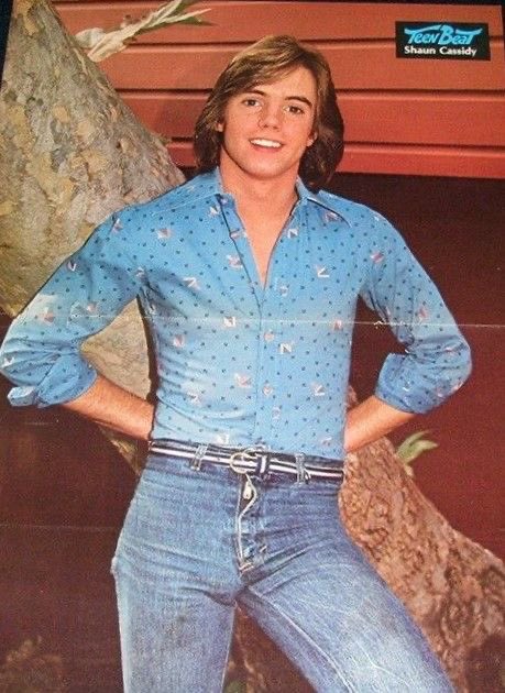 Happy Birthday Shaun Cassidy.              