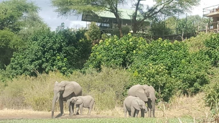 Destination_Zim's tweet photo. Getting to know #ManaPools โ #Mwinilunga & #Kavinga
https://t.co/Q19idnjpxH.
By BRYONY SCROOBY ๐ธ
#VisitZimbabwe ๐ฟ๐ผ๐ฟ๐ผ https://t.co/Gi2mk1JLwv