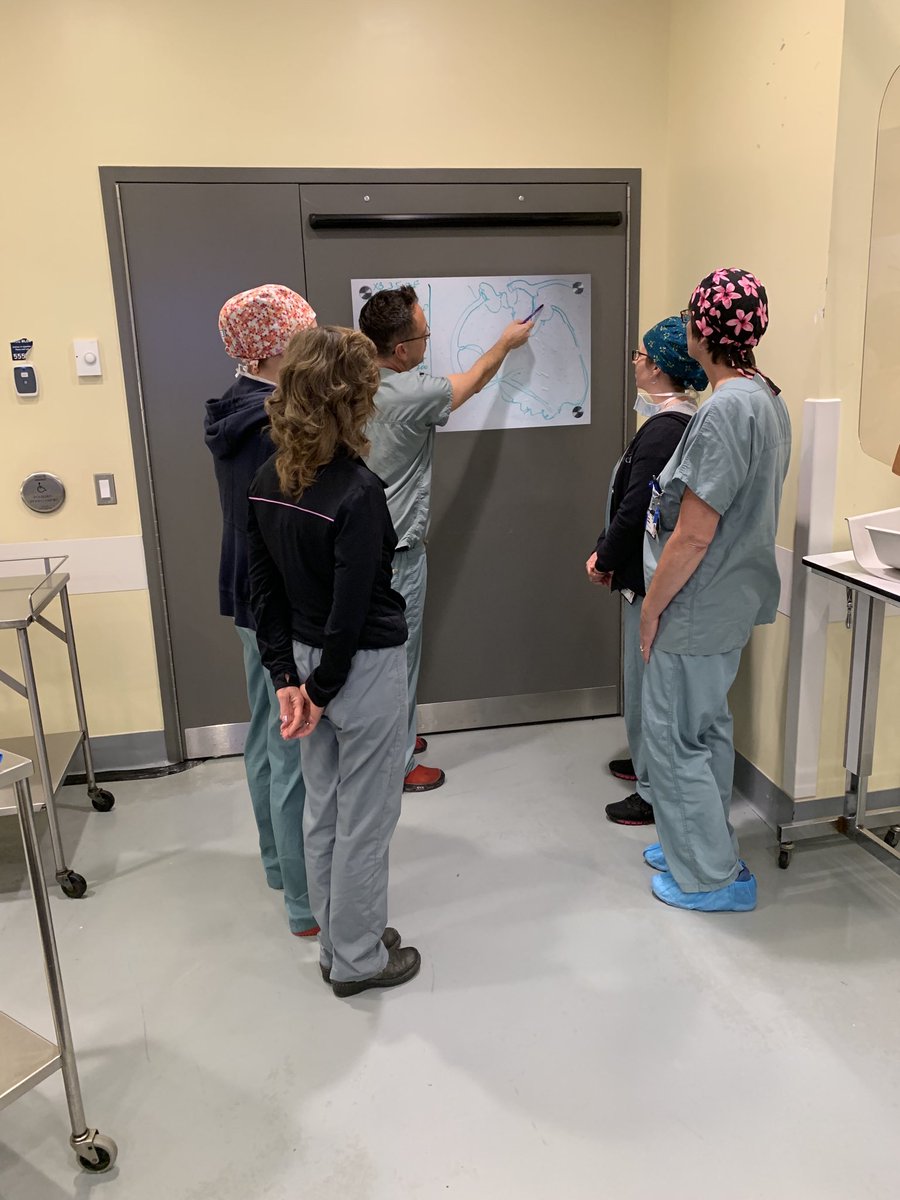 Stéphane Rinfret, MD SM (@rinfretstephane) on Twitter photo As for all cases, explaining the approach, plan, what to expect to our team for our #CTO case for #TCT2019. Fantastic #mcgill univer health centre team of nurses and technicians, staying late on a Friday night! So proud! <a href="/cusm_muhc/">Centre universitaire de santé McGill</a> <a href="/mcgillu/">McGill University</a> <a href="/CardioMcgill/">McGillCardioTrainees</a> As for all cases, explaining the approach, plan, what to expect to our team for our #CTO case for #TCT2019. Fantastic #mcgill univer health centre team of nurses and technicians, staying late on a Friday night! So proud! <a href="/cusm_muhc/">Centre universitaire de santé McGill</a> <a href="/mcgillu/">McGill University</a> <a href="/CardioMcgill/">McGillCardioTrainees</a>