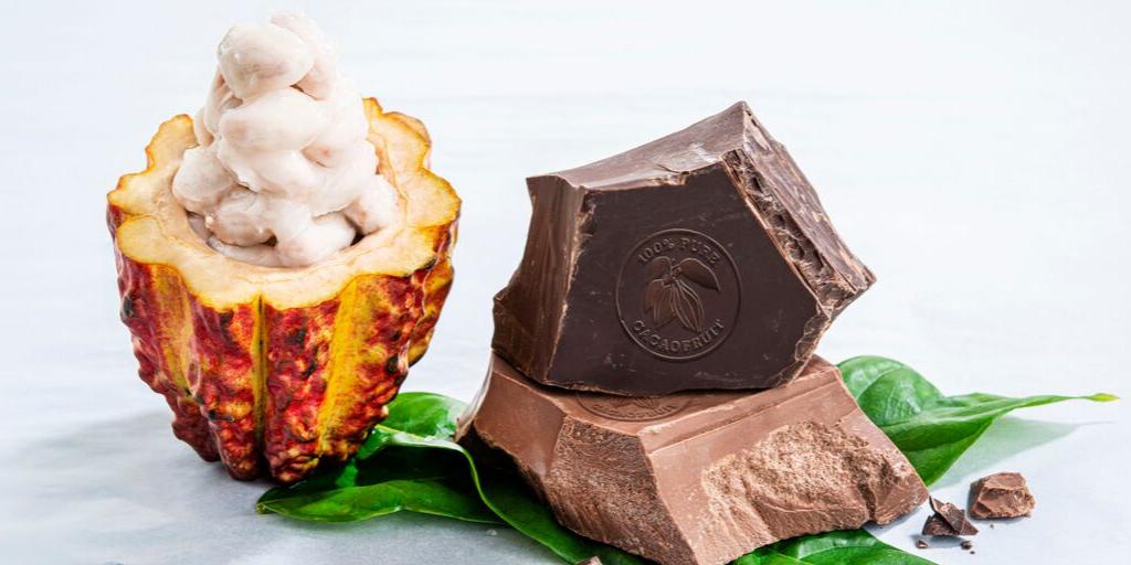 Very #proud to launch #WholeFruitChocolate for #artisans &amp; #chefs today: A #fresh, #fruity delight made from 100% pure #cacaofruit! Learn more about it: wholefruitchocolate.com (<a href="/WholeFruitChoc/">WholeFruit Chocolate</a>)
#BarryCallebaut #innovation #shapingthefuture #newchocolatetype