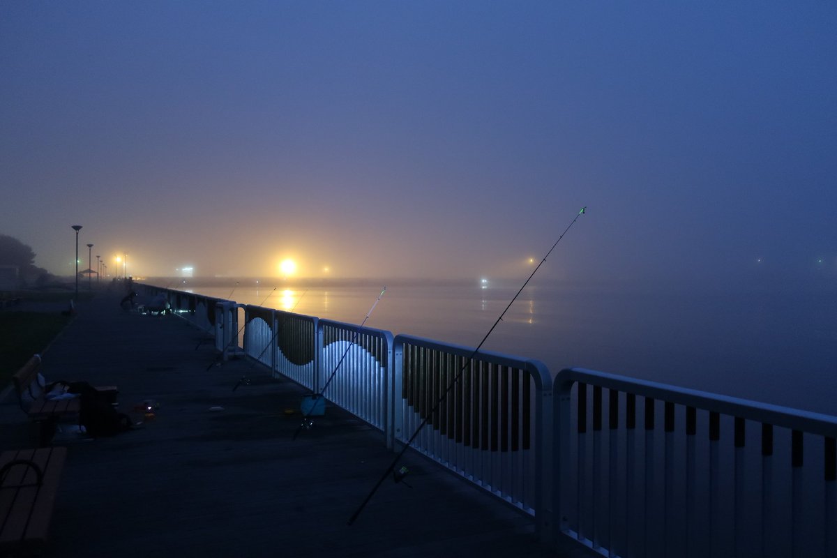 Zumish Jp Pa Twitter おはようございます 霧の仙台港より釣果情報をお届けします 現在釣果はワタリガニ3 シャコ2 セイゴ2 ハゼ1 謎の小魚1 リリース込み でございます 穴子なんていなかったんだ 今回も魚より甲殻類の方が 多くなりそうですw イソメ残ってる