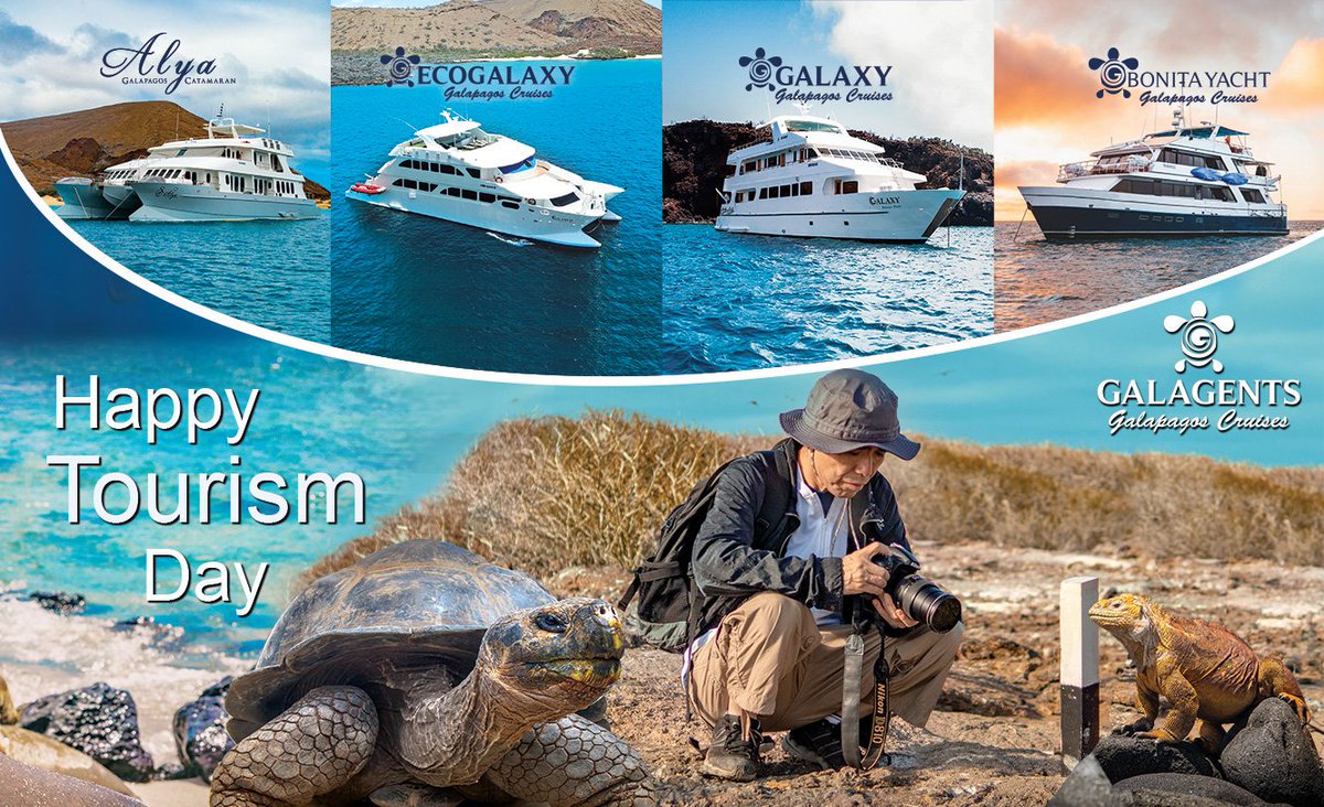 Galagents Galapagos Cruises ⛴️🐢 tweet media