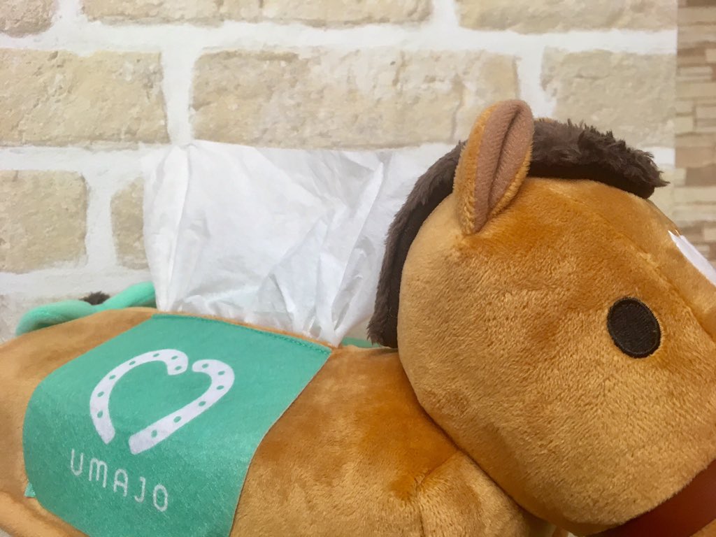 新 #UMAJOグッズ はティッシュカバー、おウマのメジャー、ヘアバンド
