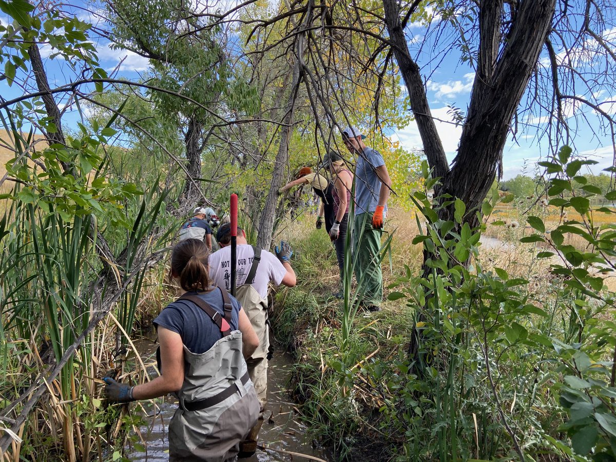 NiteIze's tweet image. Great day with our friends at the @conservationall, @boulderosmp,  @boulderparksrec and a mighty fine group of Boulder-based outdoor companies doing some trail and park maintenance! #WeKeepItWild #boco_trails