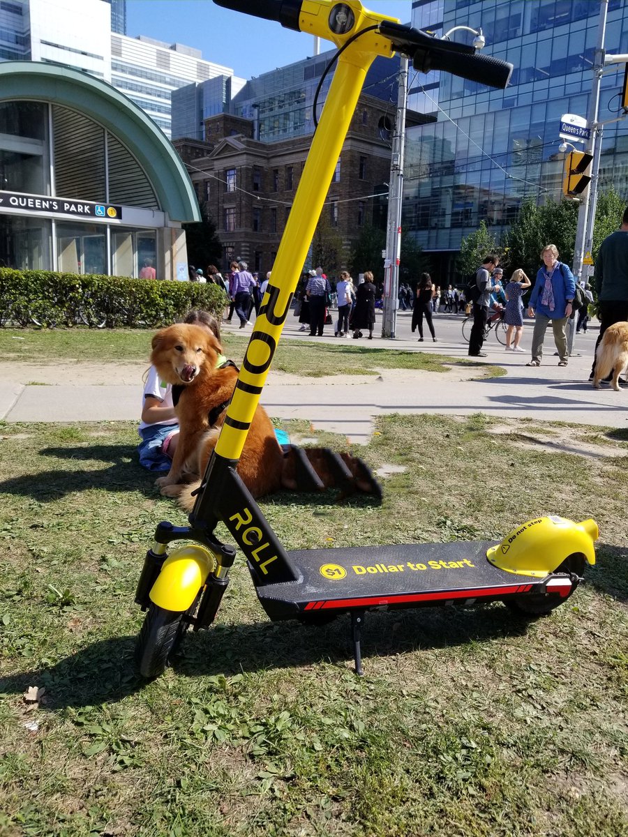 roll_scooters's tweet photo. "We will never stop fighting for this planet, for our futures, and for the futures of our children and grandchildren." Greta Thunberg
#climatestrikecanada #ClimateAction #AnswerEarthsCall https://t.co/N1Yu0GGIzD