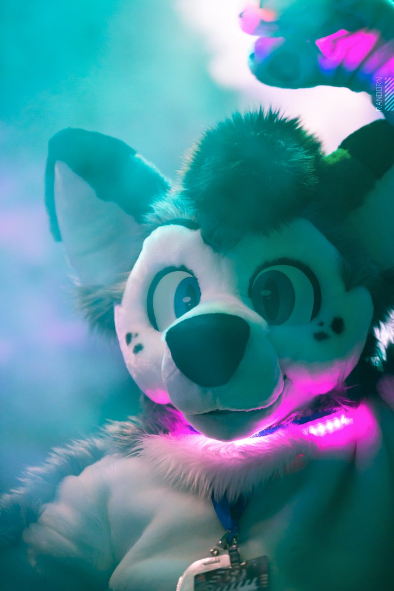 Recovering and feeling like a human again. Forget that -- it's #FursuitFriday finally. =D