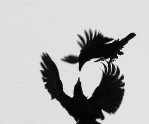 sᴛᴀʀᴛᴇʀ ᴄᴀʟʟ;

          ♡ ғᴏʀ ᴀ sʜᴏʀᴛ sᴛᴀʀᴛᴇʀ
           ᴅᴍ ᴛᴏ ᴘʟᴏᴛ

   ᴋɪɴᴅʟʏ ↻