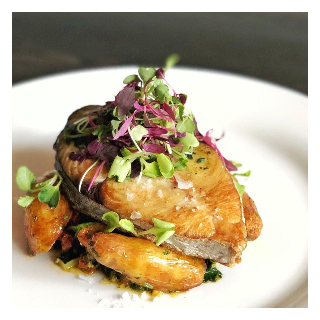 NODORestaurant's tweet photo. Tonight, fish feature /// Pan-seared King Mackerel, zucchini-sundried-tomato-spinach ‘caponata pugliese’, roasted fingerlings, arugula pesto
#Junction #Hillcrest #Leslieville
#KingFish #Feature https://t.co/z4ifmDaJNj