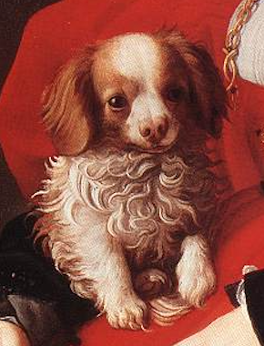 DrJoEsra's tweet photo. Another #renaissancedog...'Portrait of a Lady in Red' by Agnolo Bronzino, 1530s (The Städel Museum, Frankfurt)#dogs #dogsinart #dogsinhistory #historicaldogs #dogsofhistory https://t.co/t1zcf7VmWf