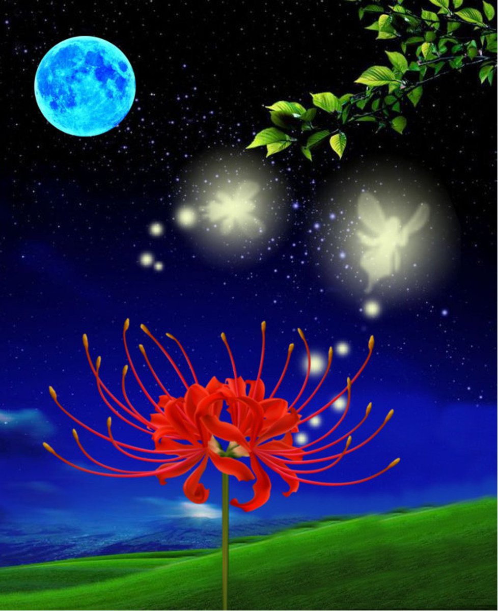 夏が終わる頃
　真っ赤な花の
　　曼珠沙華が
　　　咲き始めます
激しく　
　情熱のように
　　燃え盛る
　　　赤い花は

緑の野原の中で
　赤い妖精となり
　　優しく微笑んで
　　　　咲いている…

     　　～花の詩～