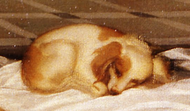 DrJoEsra's tweet photo. Another #renaissancedog of the 1530s....'Venus of Urbino' by Titian (Uffizi Gallery, Florence) #dogsofart #dogsofhistory #letsleepingdogslie https://t.co/aynufoi8eg