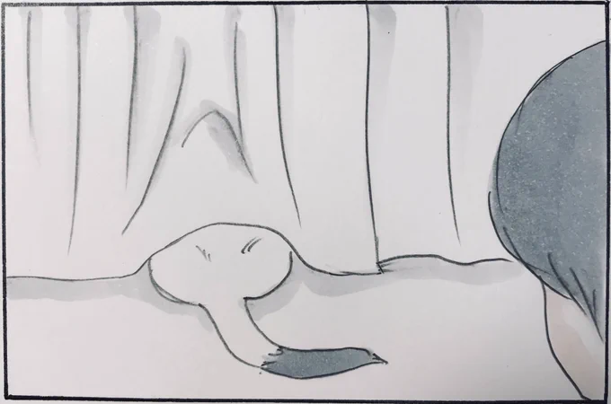 『猫を見るなら』 