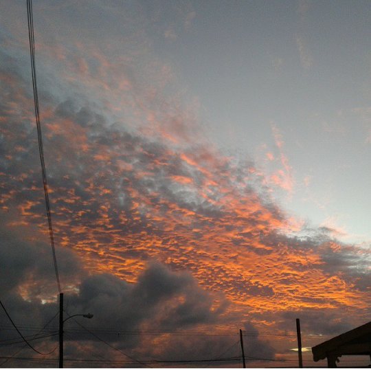 FactsBarbados's tweet photo. Beautiful Skies #URBrands #Barbados https://t.co/Zk5ZMLlDMf