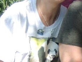 CharmCityPanda's tweet photo. @PandaChronicle @sweetg12651 @GAGA_and_MDNA @DodgerAmes @kariek @PookieDigi4Ever @FamousBabiesC Also, a zoom in on Amy’s shirt... #DontCallMeBooBoo https://t.co/28YvySmO82