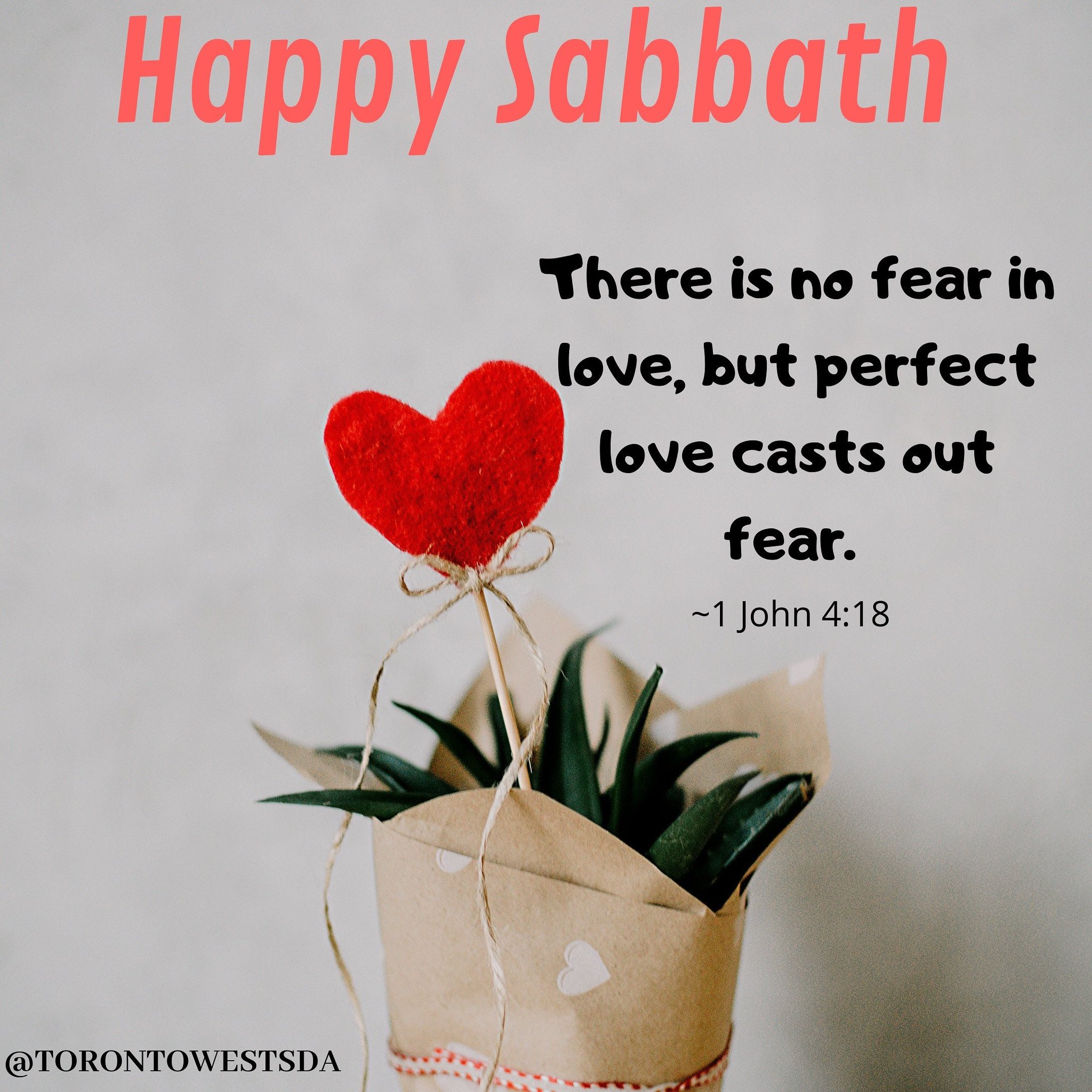 Toronto West Seventh Day Adventist Church Happy Sabbath Family Are You Excited For The Sabbath We Are Are What S Your Favourite Thing About The Sabbath We Love To Spend Time In Toronto West Seventh Day Adventist Church Happy Sabbath Family Are You Excited For The Sabbath We Are Are What S Your Favourite Thing About The Sabbath We Love To Spend Time In