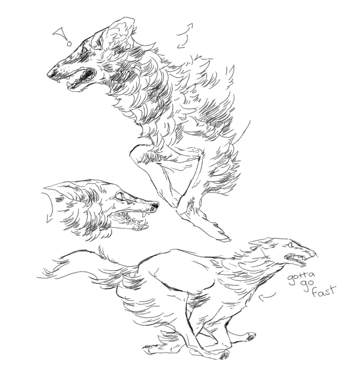 i like drawing open mouths and birds 