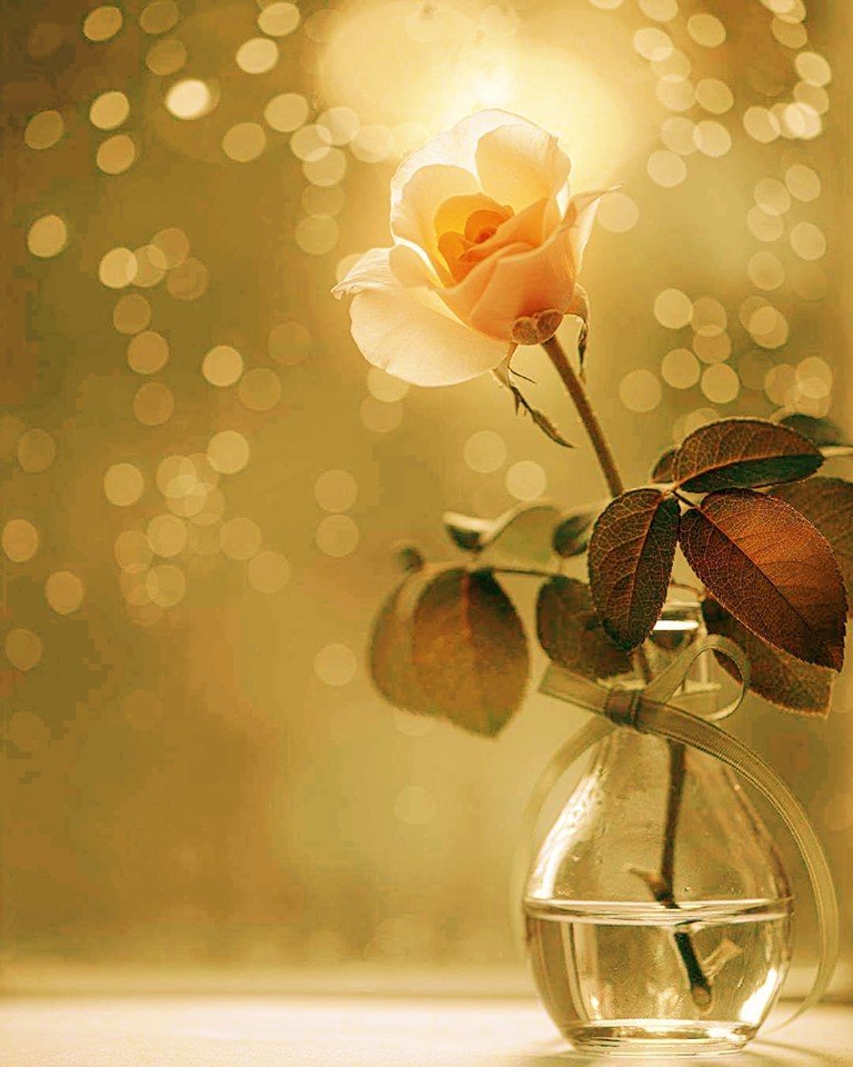 Buenas noches!! 
⁀⋱‿ 💞
❝Que nuestra fe sea siempre más fuerte que nuestras incertidumbres."