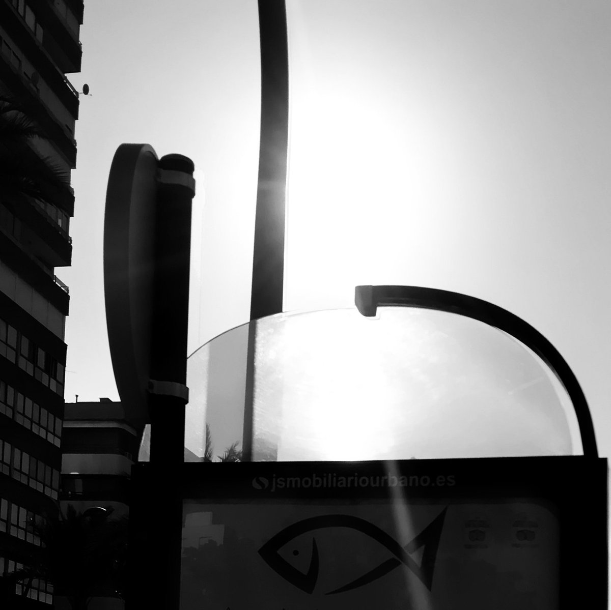 Sun Fish

#blackandwhitephotography