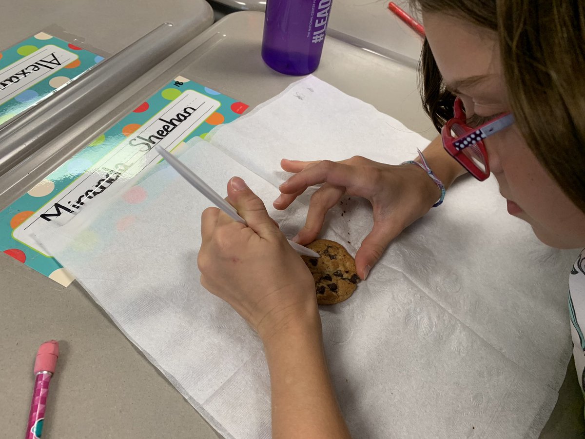 SBMS4th's tweet photo. “Mining” for chocolate chips to model the effects energy resources have on our environment! #studentsgrowhere @StonyBrookES https://t.co/HIp2A1Uuyq