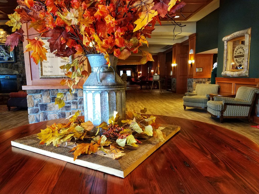 There's nothing like #flamingleaves on a cool fall day.