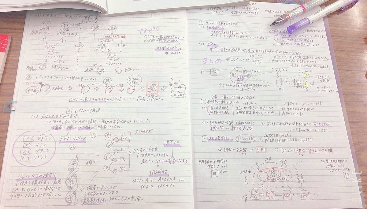 jupiter__1202's tweet image. No.48 #MyStudyNote 生物基礎🐁
●2hours

やり出すと止まらなくなるノート作り笑
ただ読むだけで理解するより
深く理解できそうな感じがします。