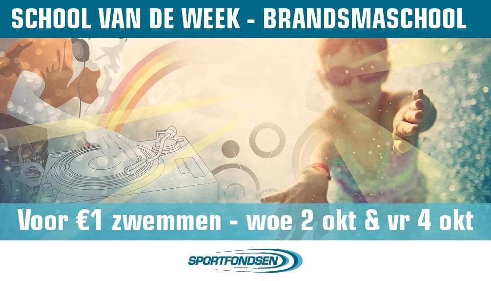 de Zandzee tweet media