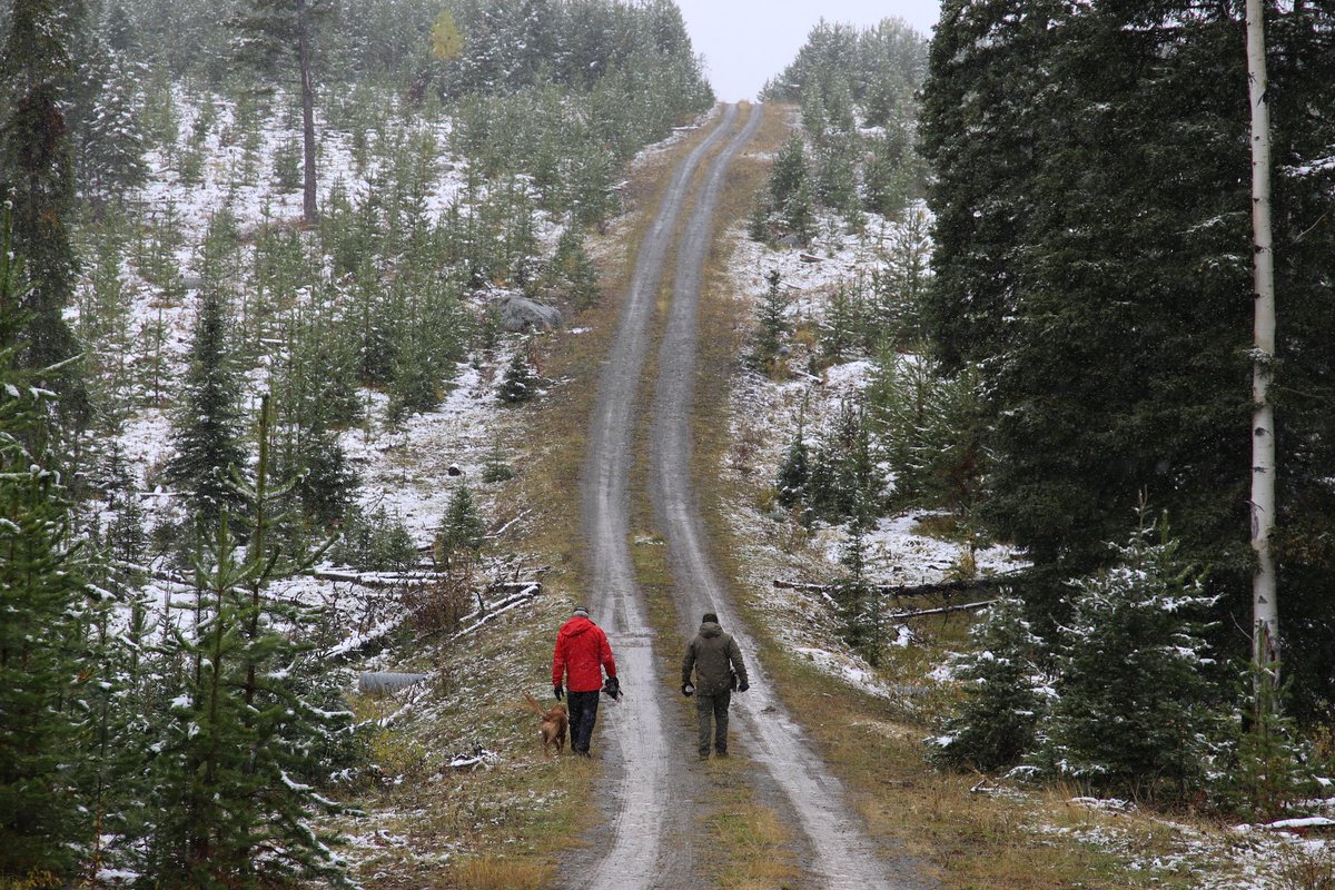 3STONESPROD's tweet photo. Dog Camp Day 2=lot more dogs, snow &amp; layers! Thank you to everyone at dog camp for being so accommodating, &amp; to our great crew for enduring weather &amp; hurry up &amp; wait that is #searchandrescue ;)

#Watchlocal @STORYHIVE #laclejeune #Kamloops #bcfilm #kamloopsfilm #BCSAR #searchdog https://t.co/LnDibvF5EH