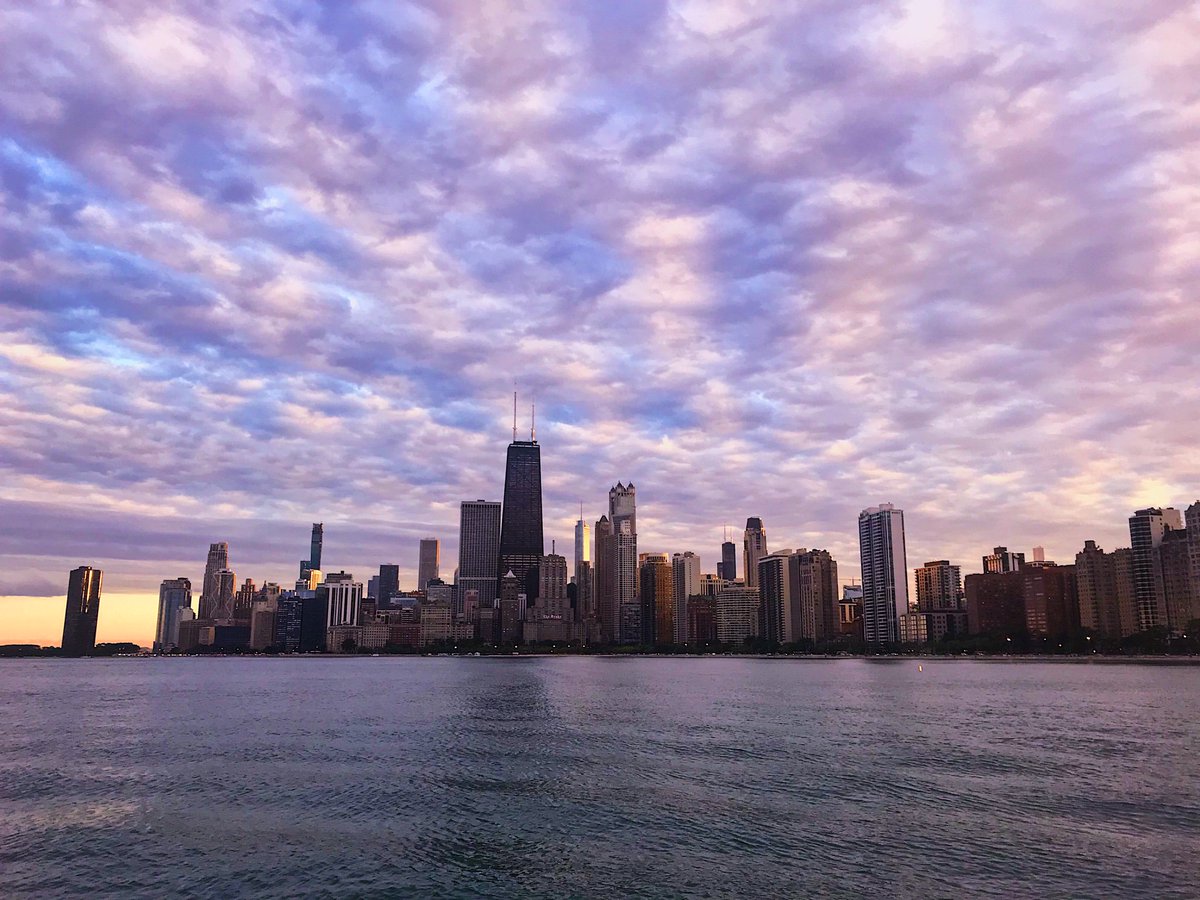 Rebecca Blitz tweet media