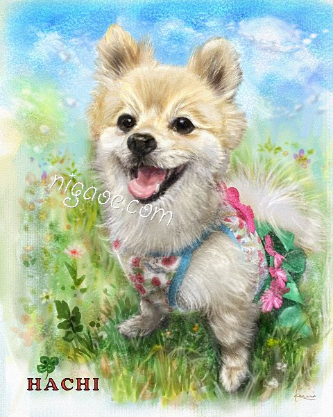 ポメラニアンのtwitterイラスト検索結果 古い順