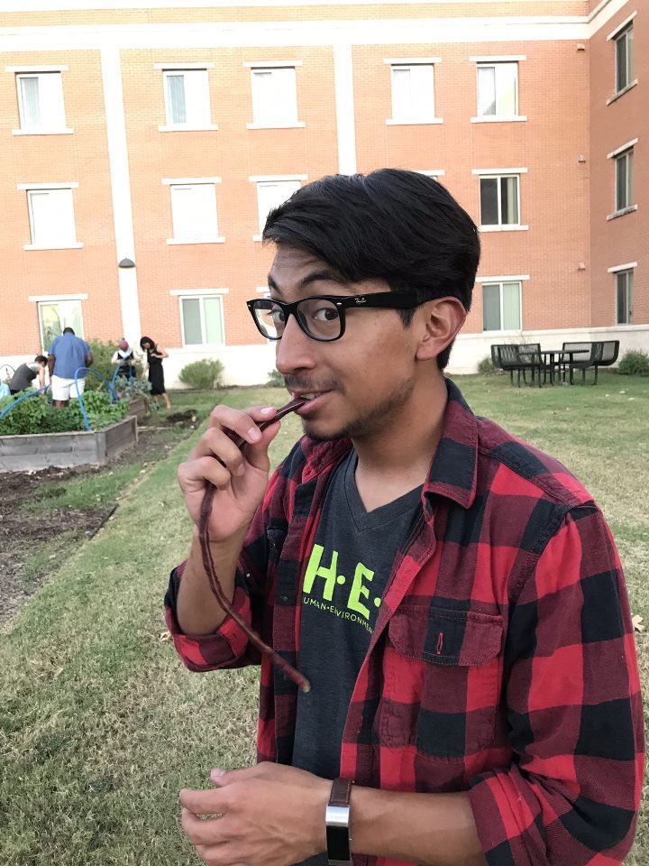 today we volunteered at the UNT community garden putting cardboard weed barriers on all the paths. then we tried some beans 🤠🌱