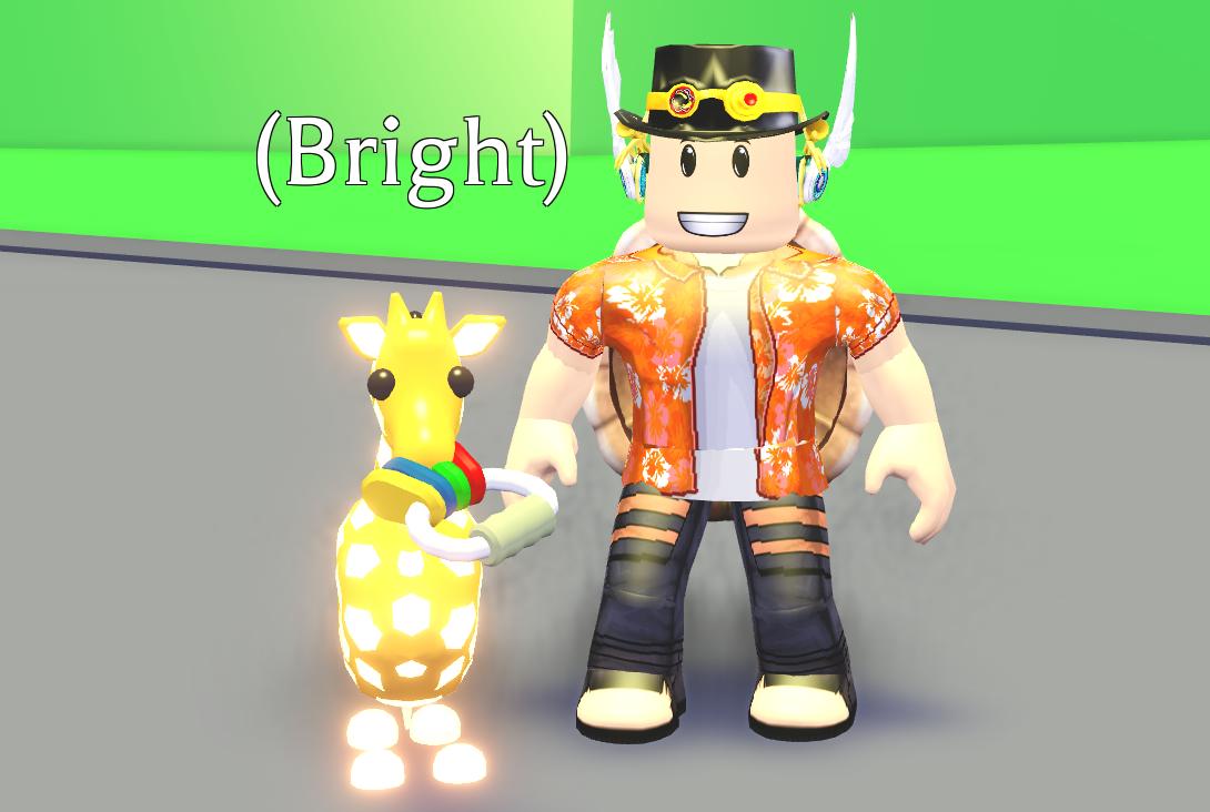 Fissy On Twitter Me And My Pet Giraffe Bright She Loves Chewing On My Keys Probably Not The Healthiest Thing For A Pet Giraffe Oh Well Got Any Pictures Of Your Pets - twitter roblox newfissy get robux right now