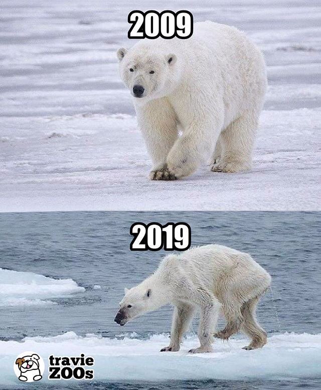 Raadioactivee's tweet photo. This is just sad... 💔
#10YearChallenge 
#stuckinthefuture
#zerowaste https://t.co/IGx1XgipyI