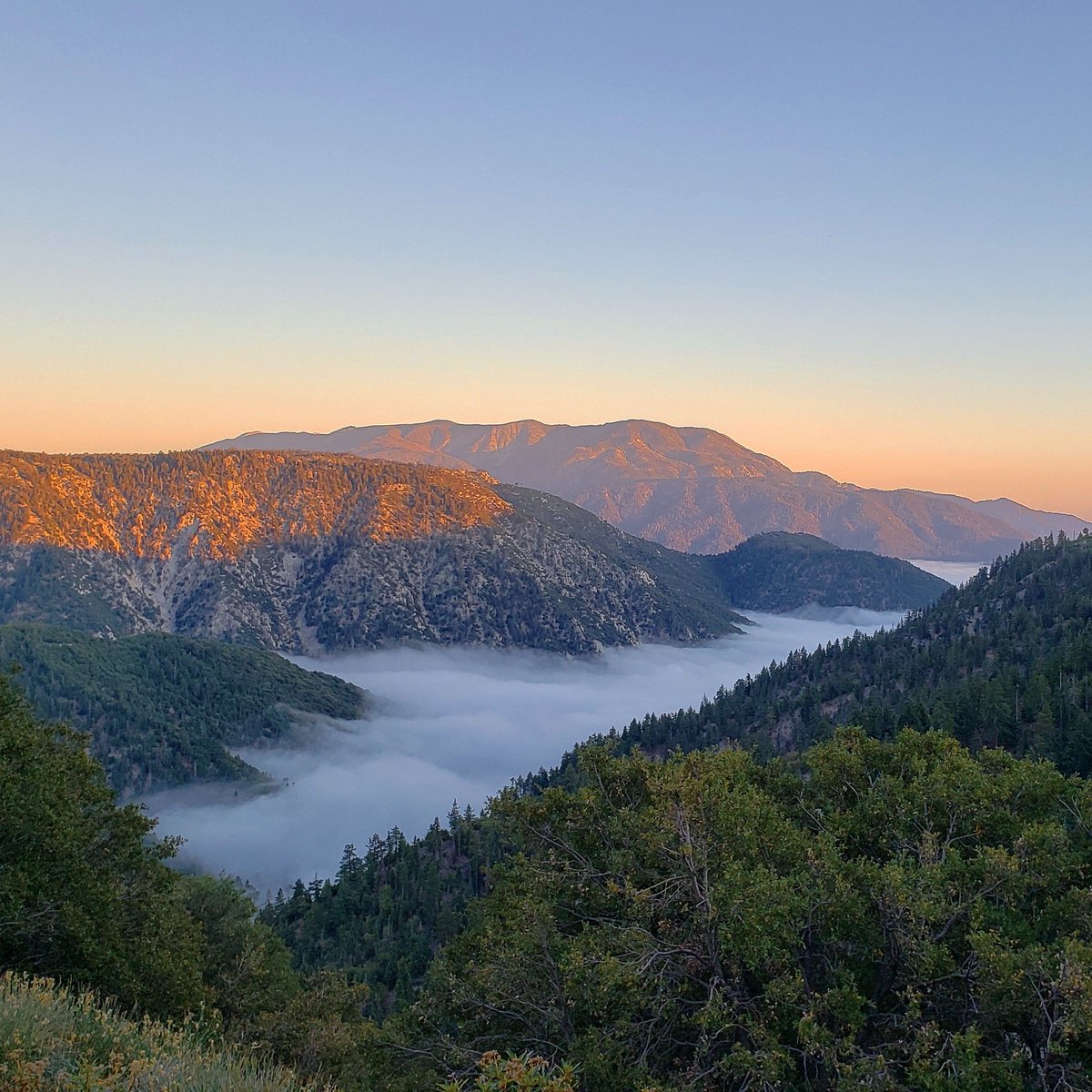 MIKE31O's tweet photo. Above the fog on 330. #getsomepeace https://t.co/K5wjX8hUKQ