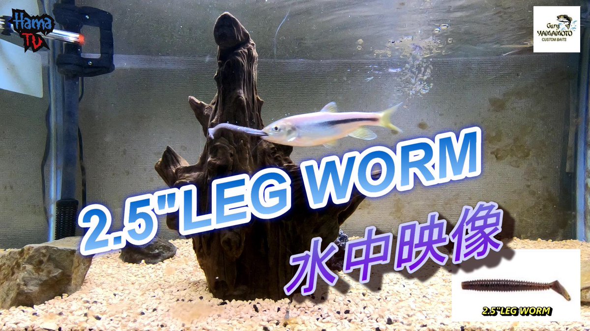 Gary YAMAMOTO 2.5/" LEG WORM Japan Package