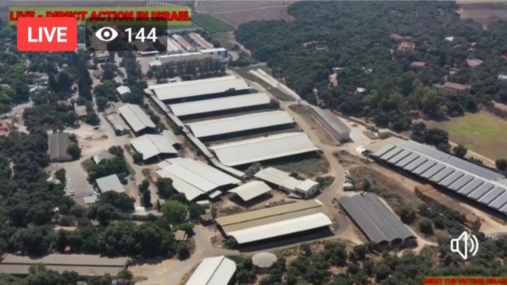 DxEverywhere's tweet image. LIVE: Activists are taking over one of the largest dairy farms in Israel to expose animal cruelty. #MeatTheVictimsIL

facebook.com/directactionev…