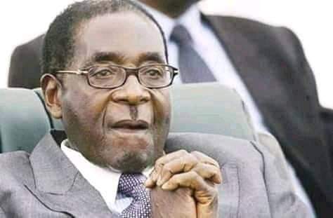 Topdog26086141's tweet photo. The day you are having a shit day, just scroll through @danielmarven and @TakaTina1's pages and if that doesn't cheer you up and have you laughing then it's fine you can drink hale phirimi and die in peace. https://t.co/lia0NPtYz0