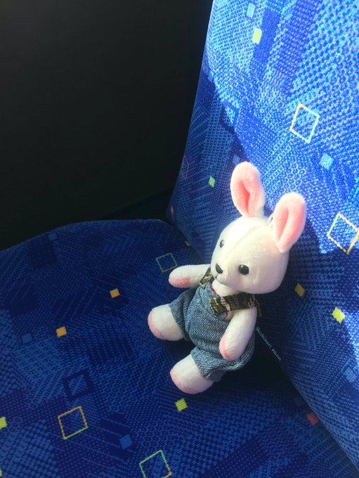 うさめいのtwitterイラスト検索結果