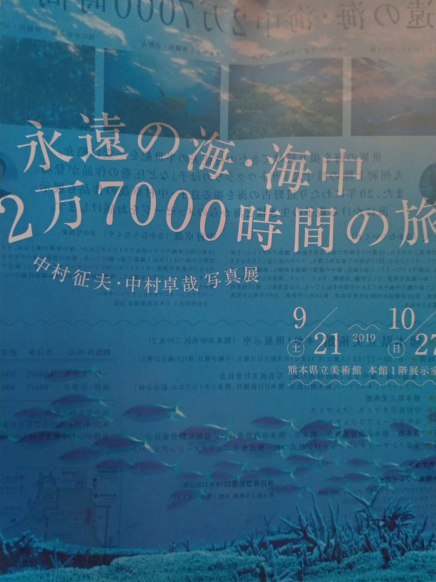 くろさき 二の丸に巨大な鯉 がいた 私は美術館で中村征夫写真展 きれいでした 写真okなのでスマホ壁紙用にいくらか撮った